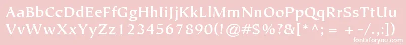 ItcTiepoloLtBold Font – White Fonts on Pink Background