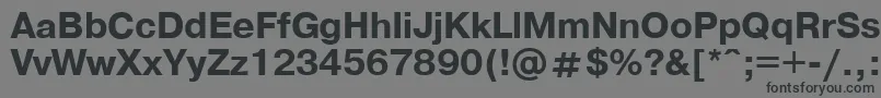 PragmaticaBold.001.001 Font – Black Fonts on Gray Background