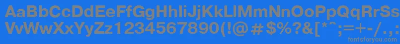 フォントPragmaticaBold.001.001 – 青い背景に灰色の文字