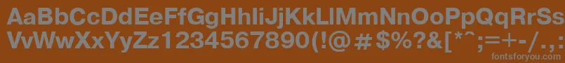 フォントPragmaticaBold.001.001 – 茶色の背景に灰色の文字