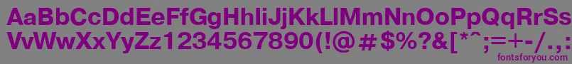 フォントPragmaticaBold.001.001 – 紫色のフォント、灰色の背景