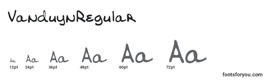 Размеры шрифта VanduynRegular