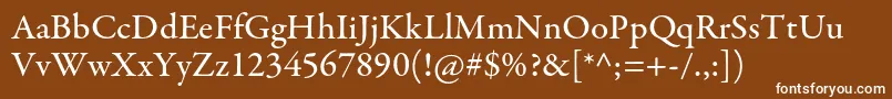 GaramondpremrproMed Font – White Fonts on Brown Background