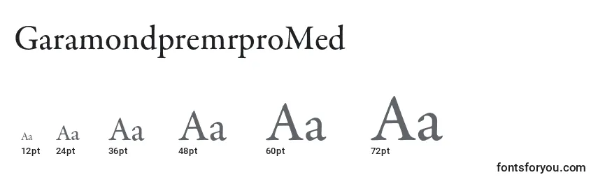 Размеры шрифта GaramondpremrproMed
