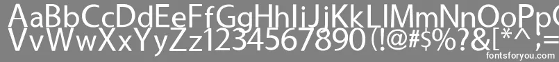 フォントUsuality – 灰色の背景に白い文字