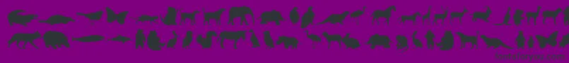Anim-fontti – mustat fontit violetilla taustalla
