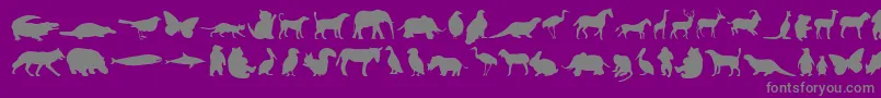 Anim-Schriftart – Graue Schriften auf violettem Hintergrund