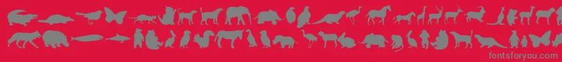Anim Font – Gray Fonts on Red Background