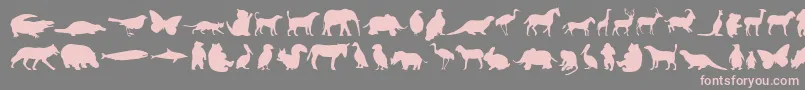 Police Anim – polices roses sur fond gris