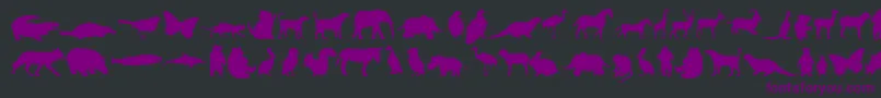 Anim-Schriftart – Violette Schriften auf schwarzem Hintergrund
