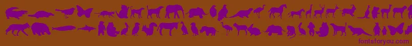Anim-fontti – violetit fontit ruskealla taustalla
