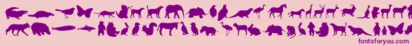 Anim-fontti – violetit fontit vaaleanpunaisella taustalla