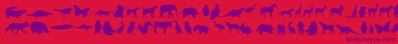 Anim Font – Purple Fonts on Red Background
