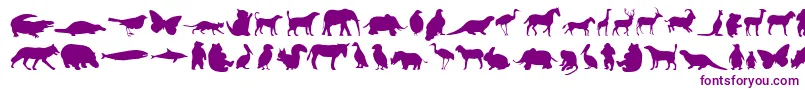 Anim-fontti – violetit fontit valkoisella taustalla