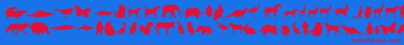 Czcionka Anim – czerwone czcionki na niebieskim tle