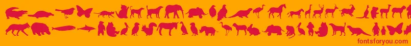 Anim Font – Red Fonts on Orange Background