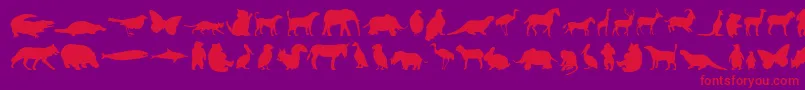 Anim-Schriftart – Rote Schriften auf violettem Hintergrund