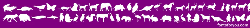 フォントAnim – 紫の背景に白い文字