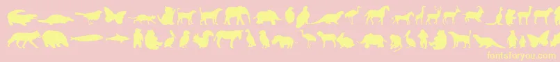 Anim-fontti – keltaiset fontit vaaleanpunaisella taustalla