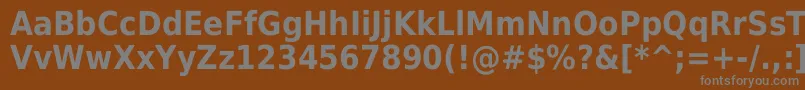 Шрифт DejavuSansCondensedBold – серые шрифты на коричневом фоне