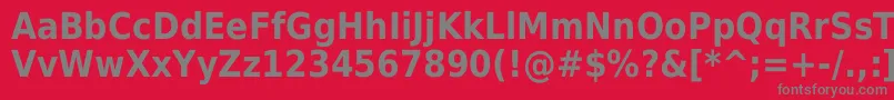 DejavuSansCondensedBold Font – Gray Fonts on Red Background