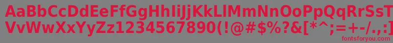 DejavuSansCondensedBold Font – Red Fonts on Gray Background
