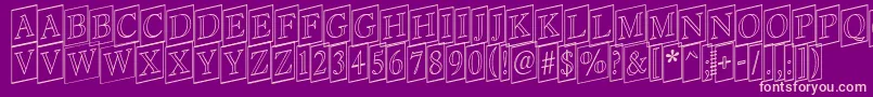 Antiq16 Font – Pink Fonts on Purple Background