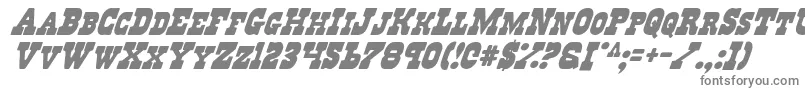 フォントRegv2i – 白い背景に灰色の文字