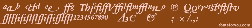 SabonnextLtBoldItalicAlternate Font – Pink Fonts on Brown Background
