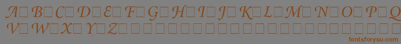 AtlantixSwashSsiItalic-Schriftart – Braune Schriften auf grauem Hintergrund