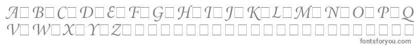 AtlantixSwashSsiItalic Font – Gray Fonts on White Background
