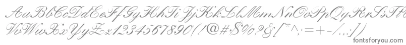 HeatherScriptOne Font – Gray Fonts on White Background