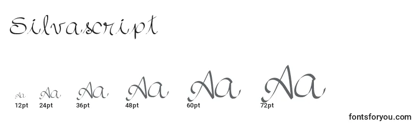 Размеры шрифта Silvascript