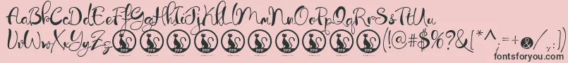 LibertinasCoFontFfp Font – Black Fonts on Pink Background