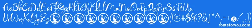 LibertinasCoFontFfp Font – White Fonts on Blue Background