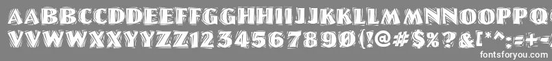 Linolettercutragged Font – White Fonts on Gray Background