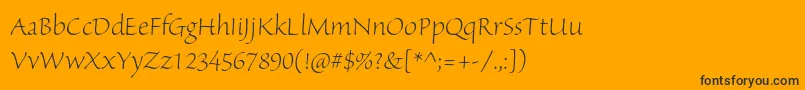 SanvitoproLtdisp Font – Black Fonts on Orange Background