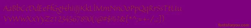 SanvitoproLtdisp-Schriftart – Braune Schriften auf violettem Hintergrund