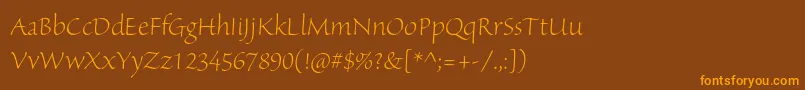 SanvitoproLtdisp Font – Orange Fonts on Brown Background