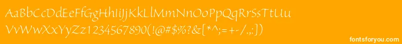 SanvitoproLtdisp Font – White Fonts on Orange Background