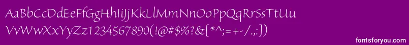 SanvitoproLtdisp Font – White Fonts on Purple Background