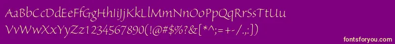 SanvitoproLtdisp Font – Yellow Fonts on Purple Background