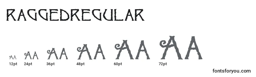 RaggedRegular Font Sizes