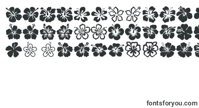Hibiscus font – Fonts Nature