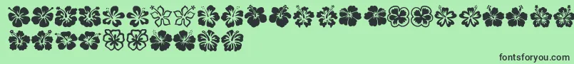 Hibiscus Font – Black Fonts on Green Background