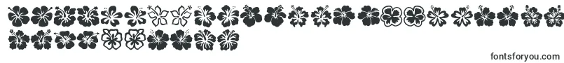 Hibiscus-Schriftart – Natur-Schriften