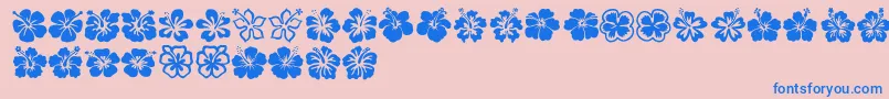 Hibiscus-Schriftart – Blaue Schriften auf rosa Hintergrund