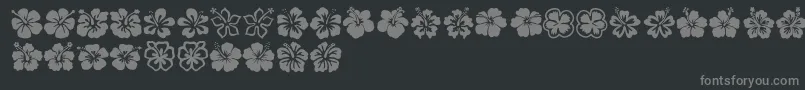 Hibiscus Font – Gray Fonts on Black Background