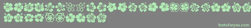 Hibiscus Font – Green Fonts on Gray Background