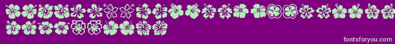 Hibiscus-Schriftart – Grüne Schriften auf violettem Hintergrund